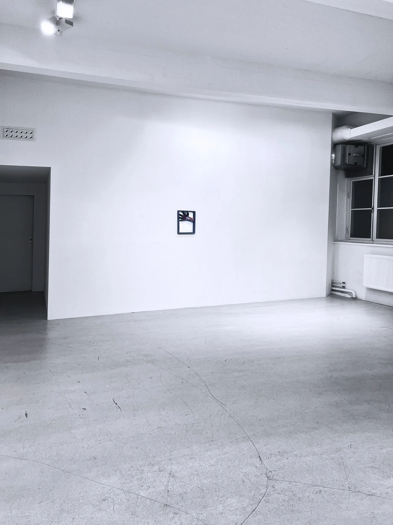 AW/Antics, installation view