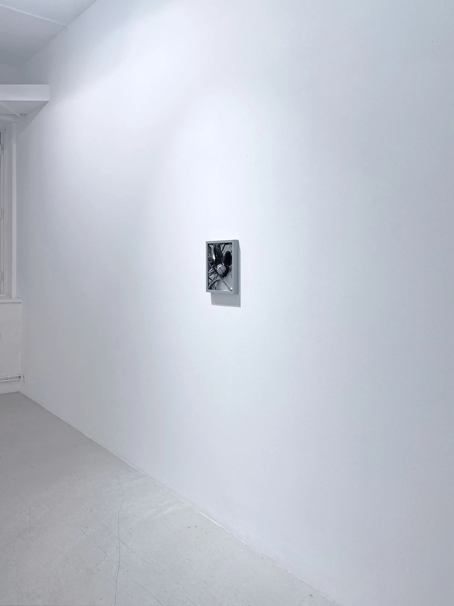 AW/Antics, installation view