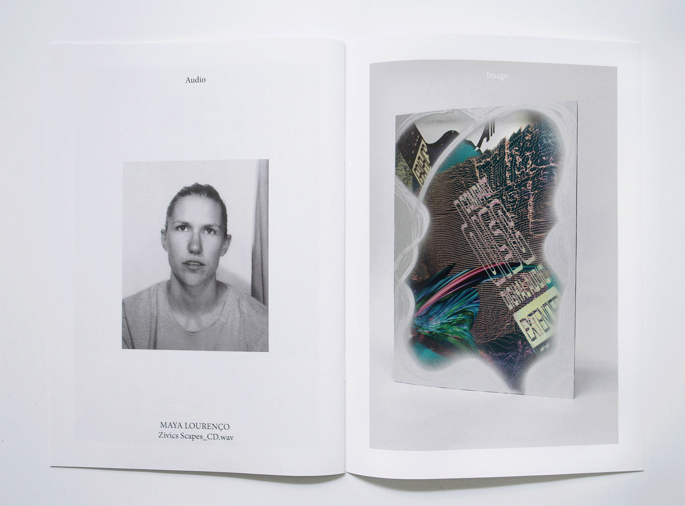 Public Audio Image, installation view